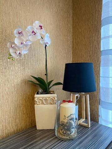 Фото номера Апартаменты с 1 спальней Апартаменты Cozy one bedroom apartment in the city center г. Мажейкяй 25